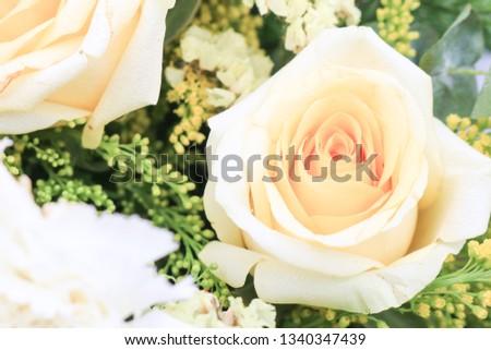 Yellow roses meaning Bright in Plant a flower, cheerful and joyful create warm feelings and provide happiness. They bring you and the friendship you share the purist of colors, represent innocence,