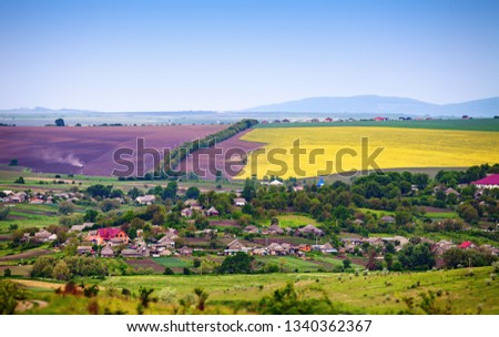 Rural landscape with yellow field and blue sky in spring day