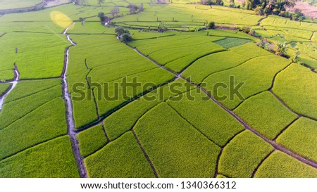 Aerial view of paddy field at Mae Hong Son, North of Thailand. Agriculture landscape. Aerial photography