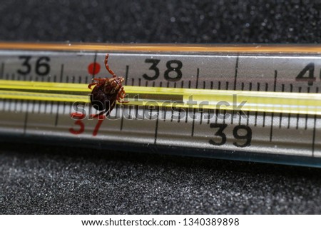 High fever as a result of the bite of an ixodid tick (Dermacentor sp.) female