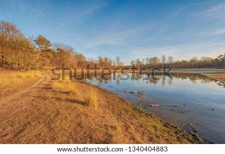 Small lake in the low light of the setting sun. The photo was taken in the Dutch nature reserve Boswachterij Dorst in North Brabant.