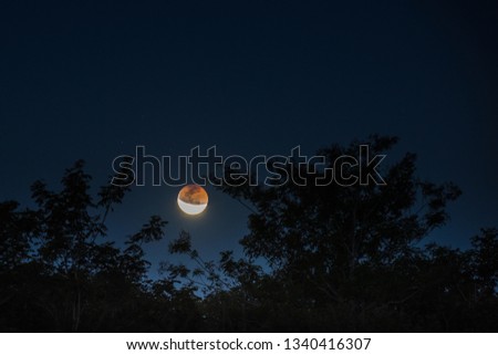 Night time capture of a lunar eclipse in the Jalapao wilderness. Brazil, South America.