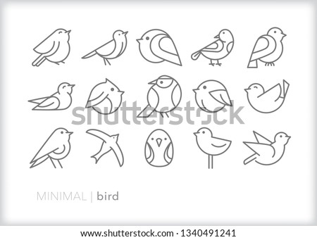 Set of 15 bird line icons of abstract geometric animals such as pets, in a zoo, in the wild or for bird watching