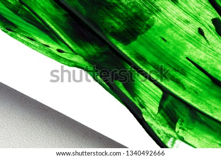 Green Oil paint brush strokes in green on white canvas area with copyspace area for art based designs and backgrounds