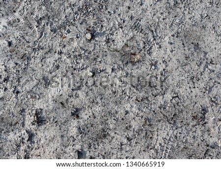 Close of surface of sand at the baltic sea beach in high resolution
