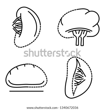 Spleen icon set. Outline set of spleen icons for web design isolated on white background