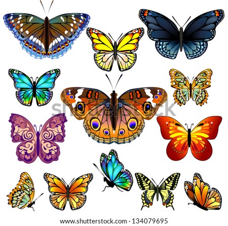 Set of colorful realistic isolated butterflies.Vector illustration
