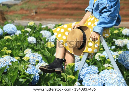 Blue hydrangea garden in mountain with yellow skirt and hat