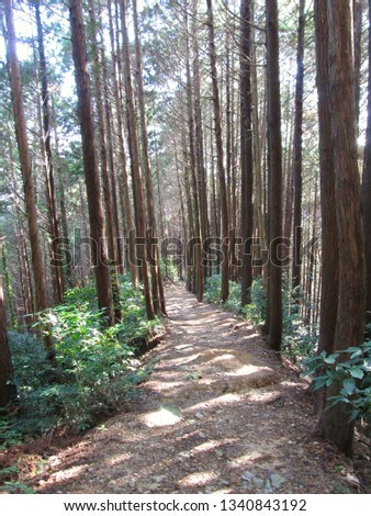 Mountain trail in Nara