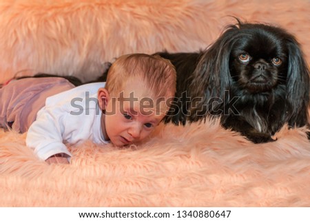 The picture shows a newborn baby girl with a pekinese dog