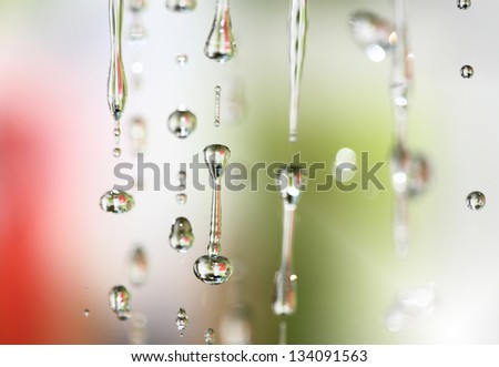 macro image of water drops