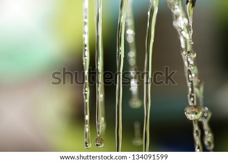 macro image of water drops
