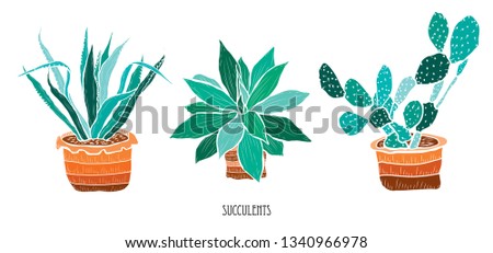 Decorative  succulent plants, design elements. Can be used for cards, invitations, banners, posters, print design. Floral background