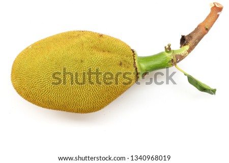 jack fruit with leaf isolated on white background High resolution image gallery.