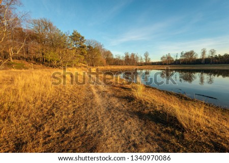 Small lake in the low light of the setting sun. The photo was taken in the Dutch nature reserve Boswachterij Dorst in North Brabant.
