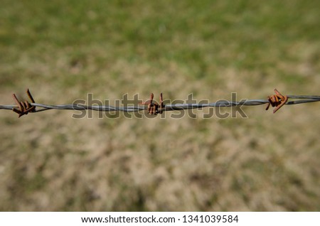 Old barb wire
