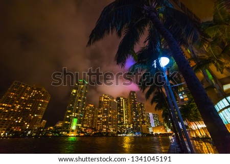 Palm trees and skyscrapers in Miami river walk by night. Southern Florida, USA