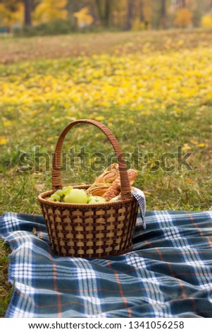 Picnic basket with food on a blue plaid, against the background of greenery and foliage. Baking with fruit inside the basket, the author's processing