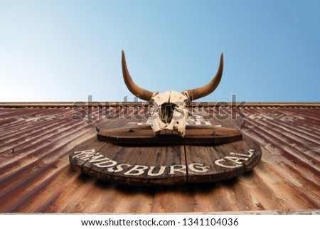 texas longhorn skull on corrigated metal sheet
