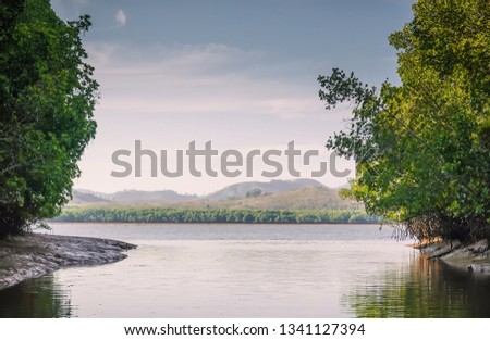 Beautiful natural scenery of river in southeast Asia tropical green forest, Rafting on a very beautiful mountain river. Blue Tara river flowing among rocks and green trees