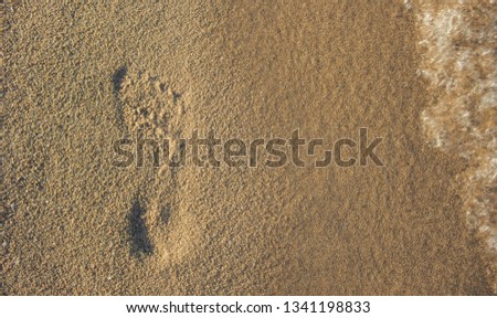 bare foot print on sand textured background surface of beach waterfront shoreline near sea, simple pattern concept of summer vacation and empty copy space for your text or inscription 