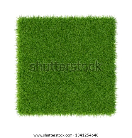 Green grass. Natural texture background. fresh spring green grass. Close-up image.