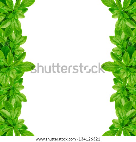 Green leaves frame Royalty-Free Stock Photo #134126321