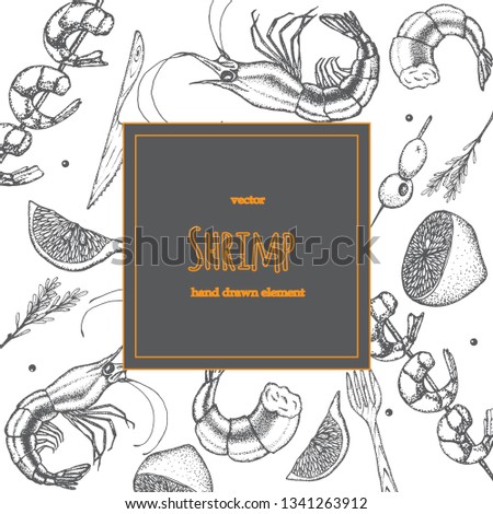 Set of shrimps. Hand drawn illustrations.Seafood concept on white background. Hand drawn boil prawn or shrimp. Background template for design. Can be use for menu, packaging.