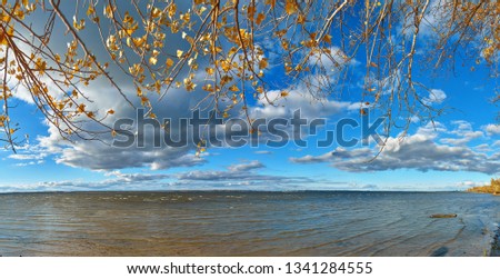 River panorama with cloudy bluesky and tree branches with yellow autumn leaves