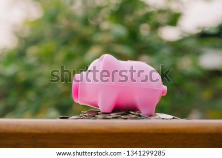 happy piggy bank and coins over blurred green garden background, saving money concept.