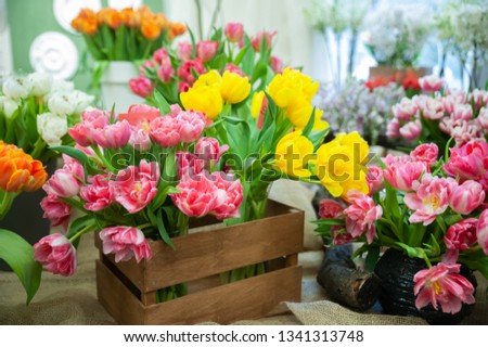 Beautiful blooming composition of colorful tulips, Bright colorful tulip photo background, Hello Spring and Woman day concepts Royalty-Free Stock Photo #1341313748