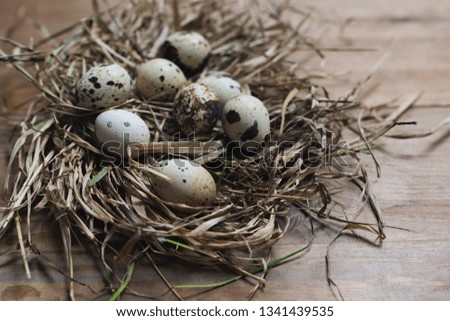 Quail eggs in nest from straw on wooden table