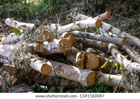 stacked of logs