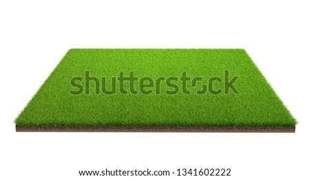 3d rendering of green grass field isolated on a white background with clipping path. Sports field. Exercise and recreation place.