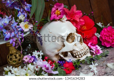 Model of a human skull surrounded by beautiful flowers, concept of death acceptance and loss.