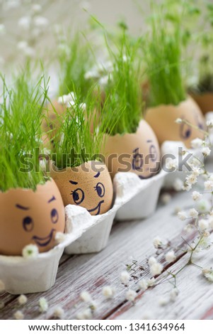 The fresh green grass growing in an egg shell with the funny persons drawn on it. The idea of spring creativity for easter day. Cartoon fases