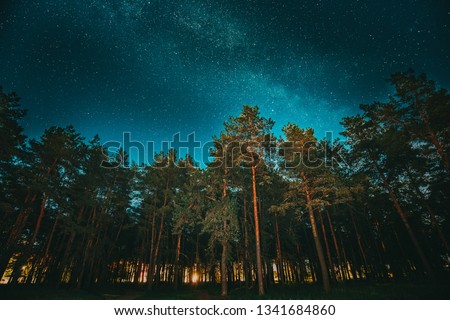 Green Trees Woods In Park Under Night Starry Sky With Milky Way Galaxy. Night Landscape With Natural Real Glowing Stars Over Forest Or Park At Summer Season. View From Eastern Europe At Spring Season.