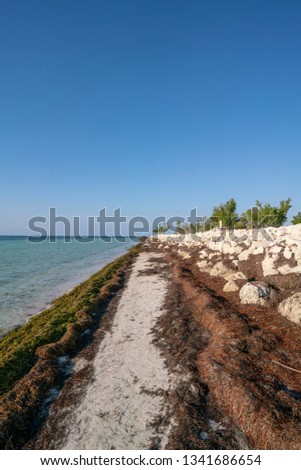 Loggerhead Beach at Bahia Honda State Park on Big Pine Key in Florida. The washed up sea grass prevents beach erosion and you cannot remove it. 