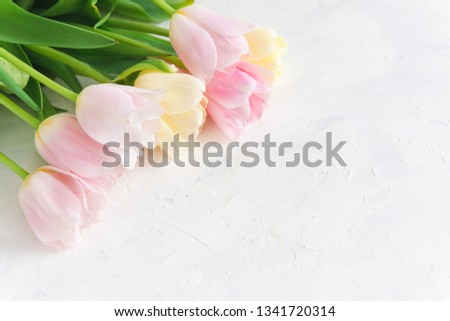 Bouquet of pink tulips on white background. Side view, copy space, close up. Spring card