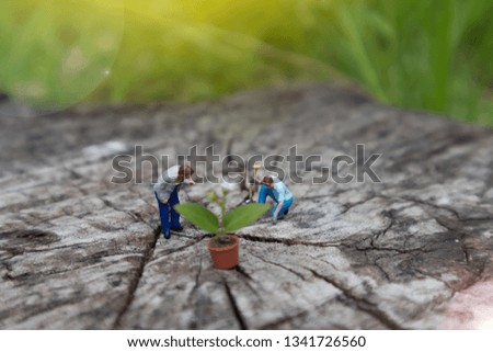 Greenhouse concept, miniature mini figures with planting tree  on stump and protect nature and environment. Save the world with plant trees in the forest background. Earth Day Concept