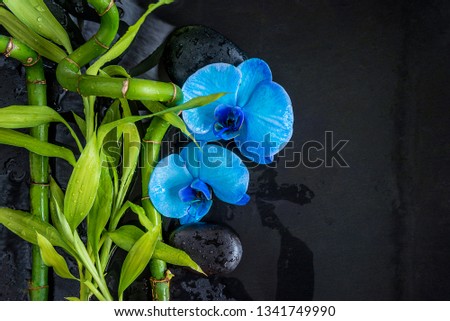 Beautiful spa composition: blue orchids flowers and green bamboo stems with leaves on the wet black slate background with copy space
