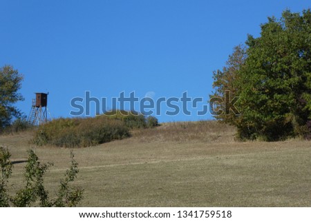 Sunny autumn day in the forest, raised hide, blue sky and the moon, Thuringia, Germany