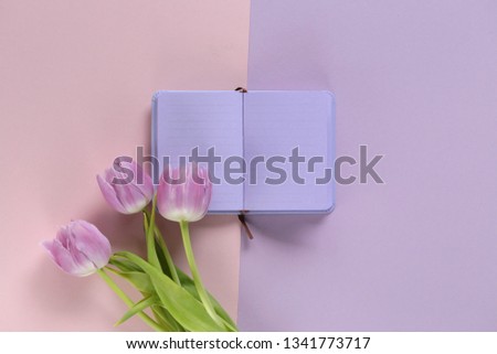 Spring Flat lay.Spring to-do list.Violet Blank notepad and lilac tulips on a combined pink lilac pastel background.top view, copy space	