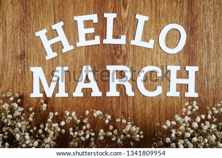 Hello March alphabet letters with space copy and dried flower on wooden background
