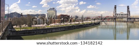 Cherry Blossoms Trees Along Portland Oregon Waterfront Willamette River with Historic Bridges in Spring Season Panorama