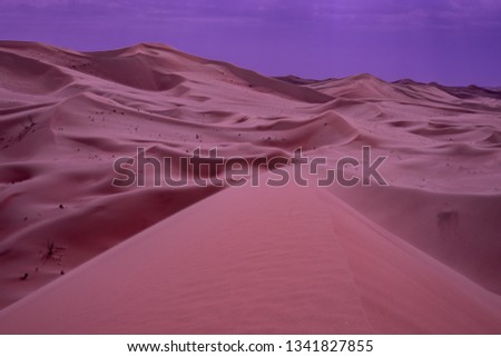 Beautiful desert nature.
Purple sky at the desert.
Smooth dunes.