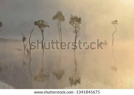 submerged trees and fishing man on the lake with dense fog and magic light at sunrise