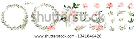 Pink rose. Set: wreaths, floral arrangements of roses, leaves, branches and design elements, flowers,roses, twigs. Royalty-Free Stock Photo #1341846428