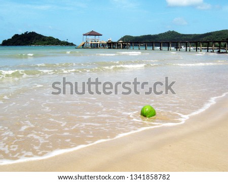 Green coconut lies with the water, the waves wash the coconut. On the photo is a wooden pier and a sandy beach. Islands and sandy beach with coconut.