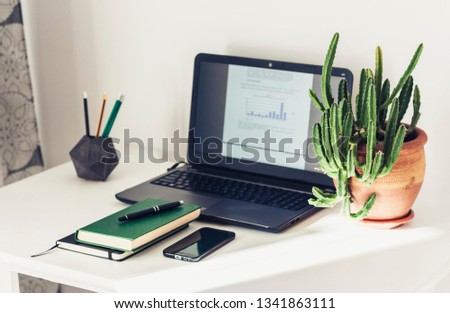 laptop, stack of books, textbook, cactus plant in clay pot in office business background for education learning concept